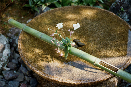 枡儀グループとしての社会への取り組みについて
